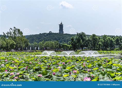 Jingyuetan Parkı, Güneşin Doğduğu ve Tarihin Uyandığı Yer!